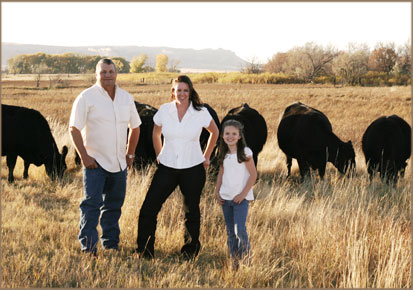 Angus Bull Sale
