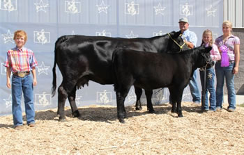 Champion Angus Cow Calf Pair