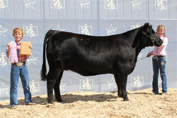 Jr. Reserve Champion Angus Female